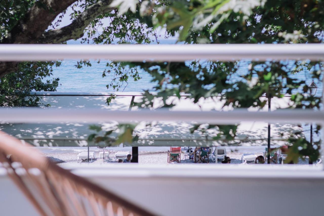 Vallia Suites-green Luxury A3 Apartment *